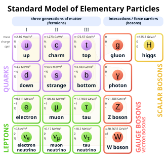 Standard Model